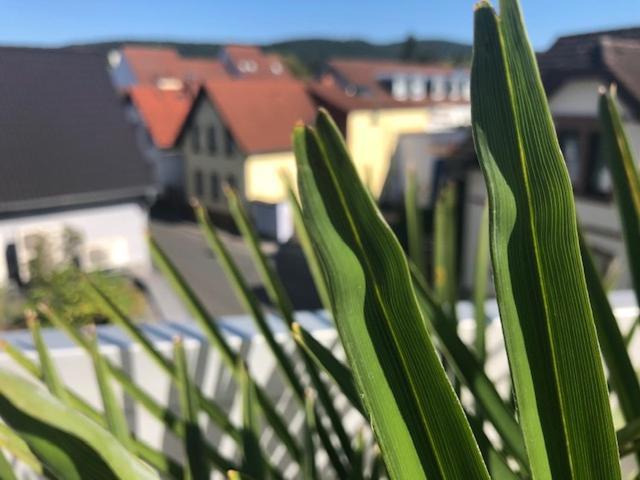 Wohnen Beim Brotsommelier - Alpenkruste Apartment Darmstadt Exterior photo